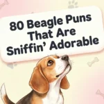 80 Beagle Puns That Are Sniffin’ Adorable beagle puns